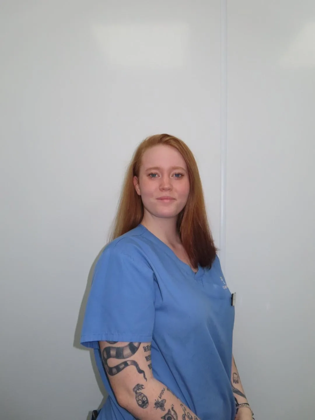Aloira, PCA at Cardiff Veterinary Centre